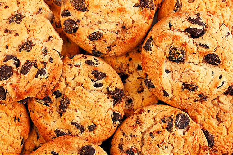 Lewes Photography Cookie Policy Privacy Terms Conditions Lewes Photography Cookie Policy Privacy Terms Conditions