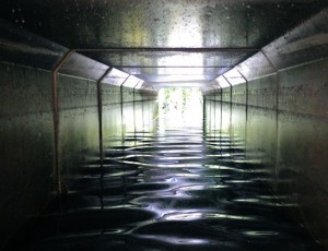 Lewes Image Scene Winterbourne Stream Tunnel