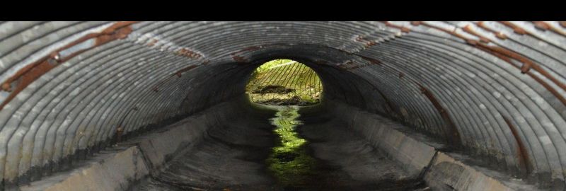 Photography In Lewes