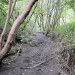 Lewes Winterbourne Stream Hope In The Valley