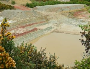 Clay Pit South Chailey