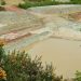 Clay Pit South Chailey