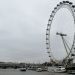 River Thames Cruise London