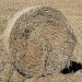 Haystack Hay Bale Stack Sussex